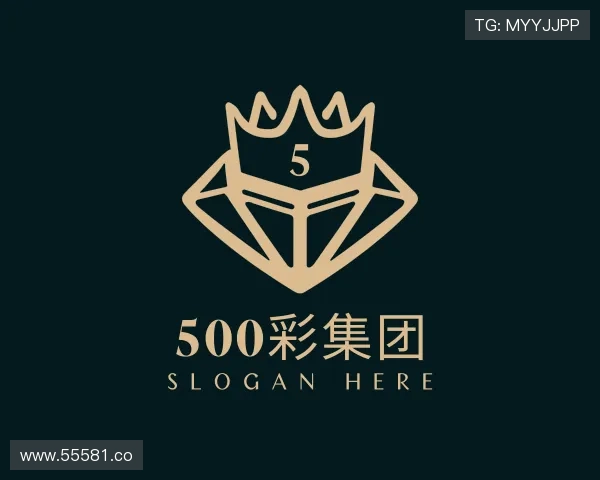 导引500彩集团